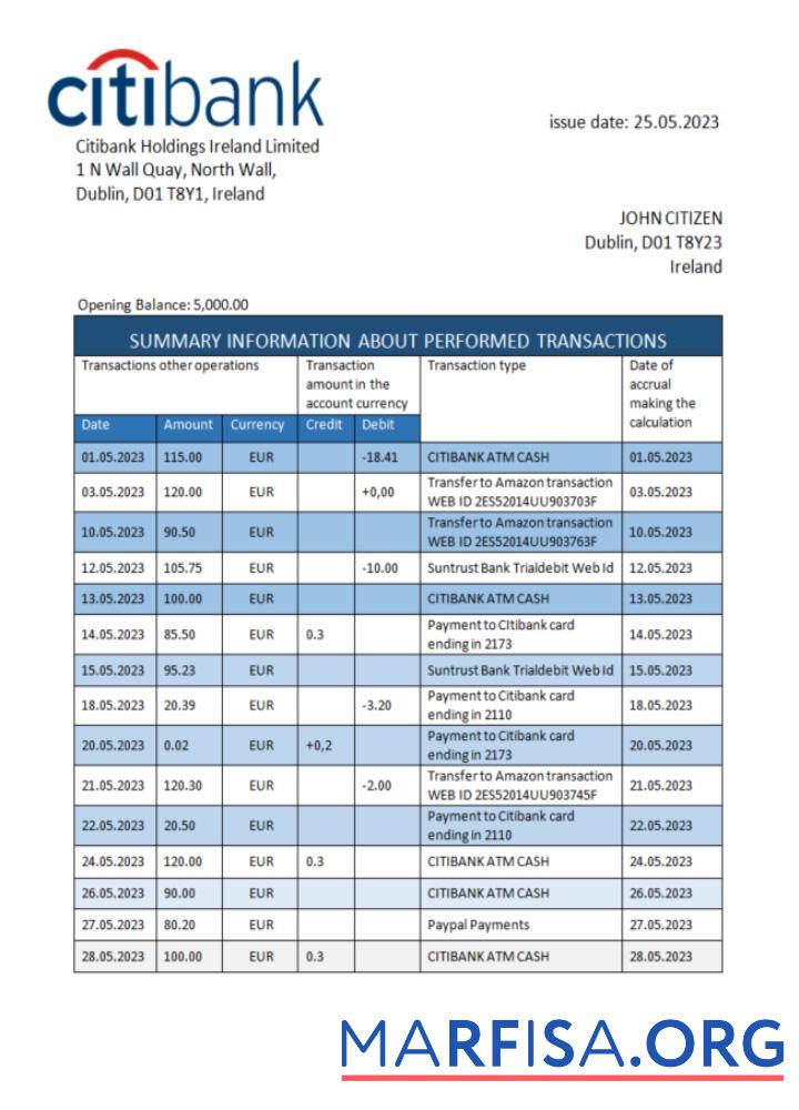 Blank Ireland Citibank bank statement word example